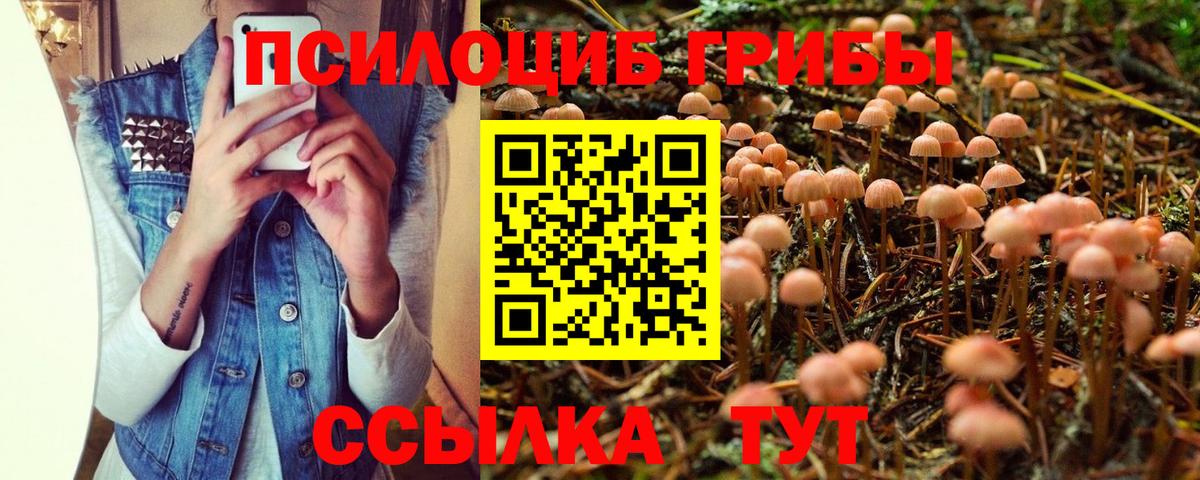 Галлюциногенные грибы мицелий  Вход с VPN  что такое   Хасавюрт 
